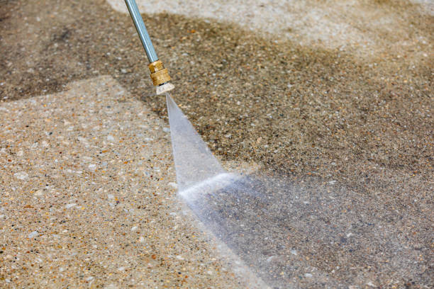 Best Roof Washing  in Squirrel Mountain Valley, CA